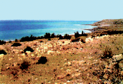 Файл:ЖАНСЫЗ ДЕҢИЗ62.png