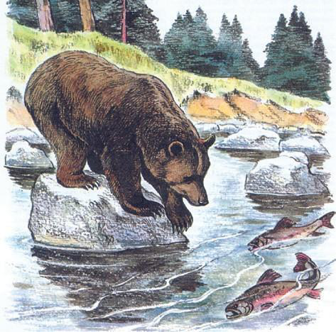 Файл:КҮРӨҢ АЮУ12.png