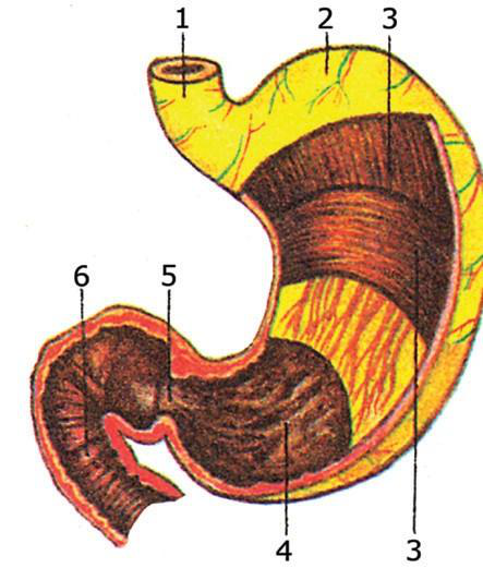 Файл:КАРЫН 135.png