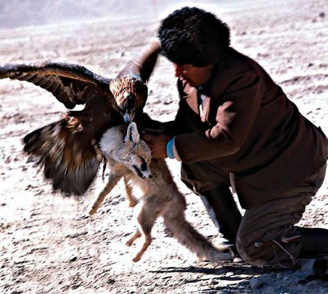 Файл:КУШ САЛУУ92.png