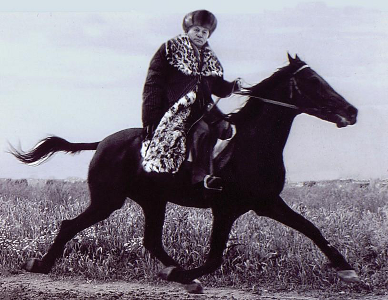 Файл:ЖОРГО САЛЫШ50.png