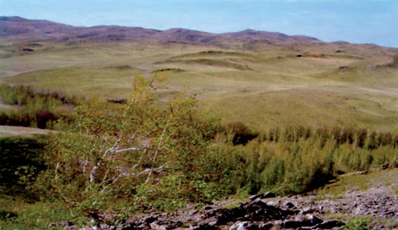 Файл:КАЗАК САРЫ-АРКАСЫ79.png