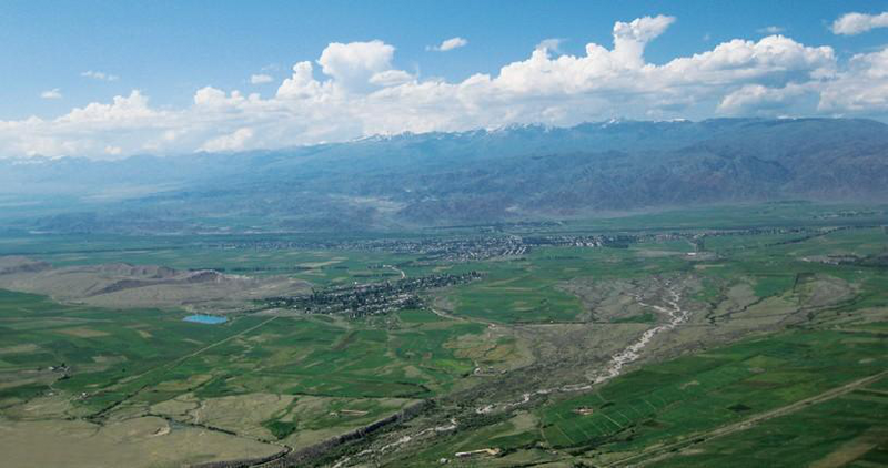 Файл:КОЧКОР 239.png