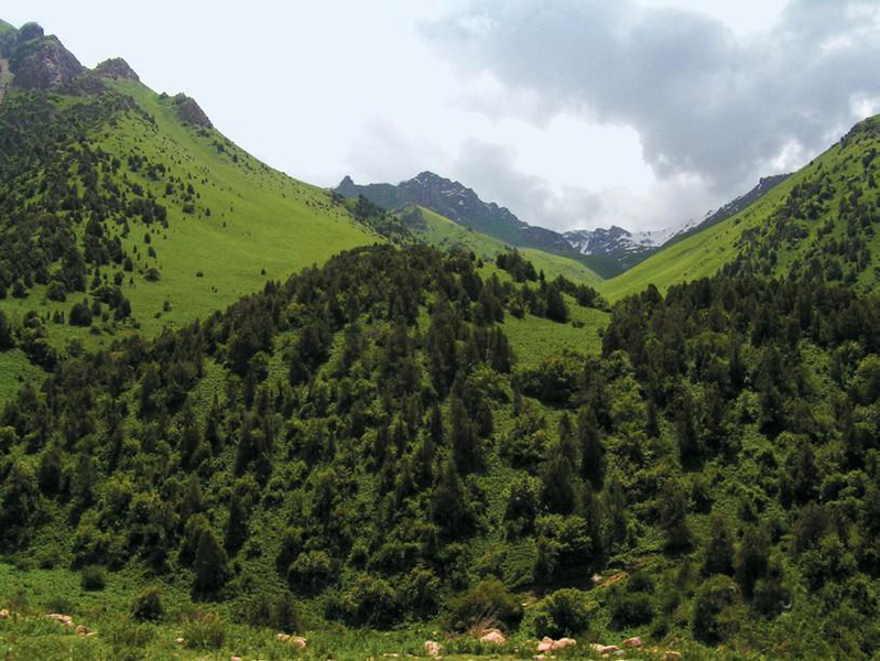 Файл:ЖАЛАЛ-АБАД ОБЛУСУ33.png