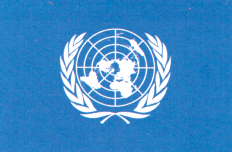 Файл:БИРИККЕН УЛУТТАР УЮМУ (БУУ)7.png