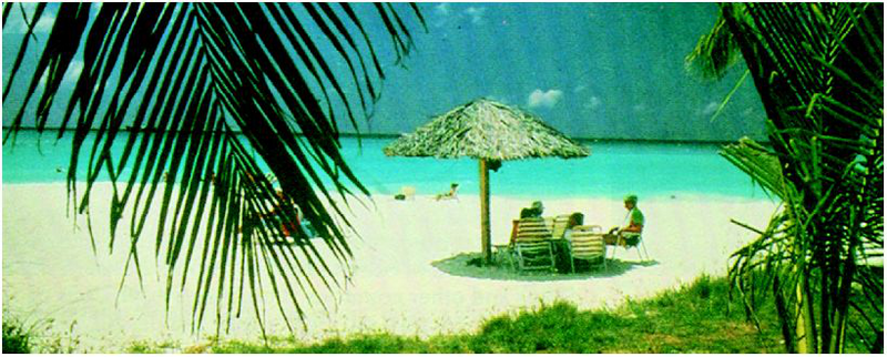 Файл:АРУБА 39.png