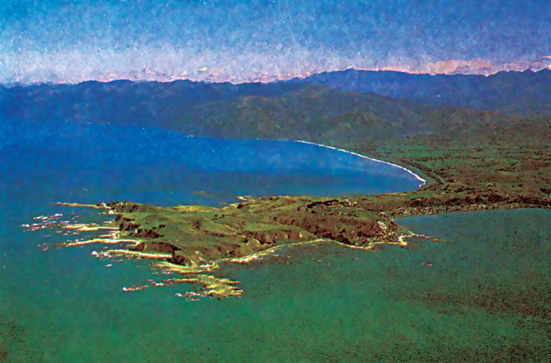 Файл:ЖАРЫМ АРАЛ108.png