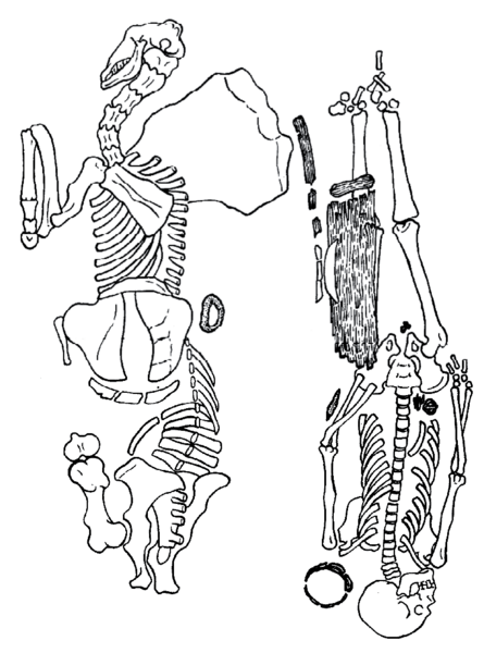 Файл:БЕШТАШКОРОО БАЙЫРКЫ КӨРҮСТӨНДӨРҮ ЖАНА ПЕТРОГЛИФТЕРИ99.png