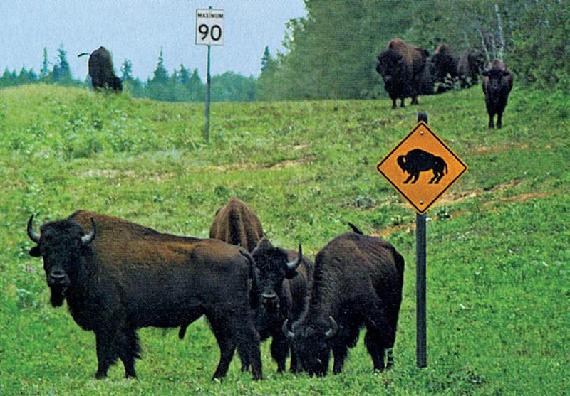 Файл:КАНАДА 2-бөлүк 2.png