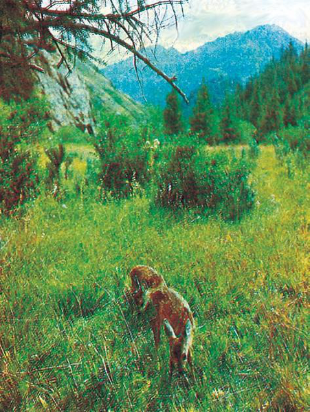 Файл:ЖАЗЫ ӨРӨӨНҮ7.png