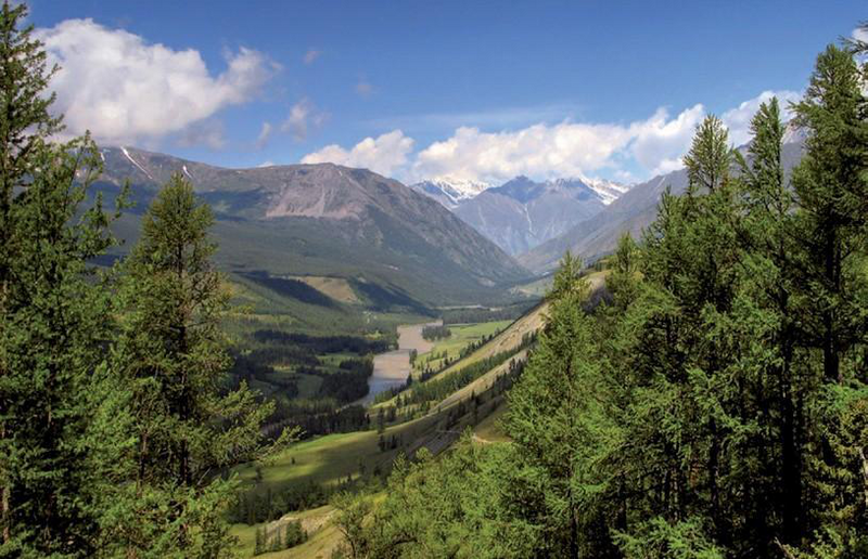 Файл:КӨК-ОЙРОК ӨРӨӨНҮ26.png