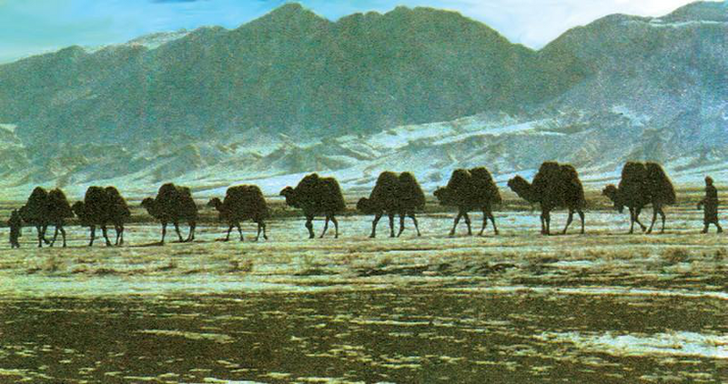 Файл:КЕРБЕН 148.png