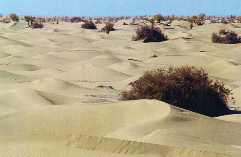 Файл:КУМДУУ ЧӨЛ29.png