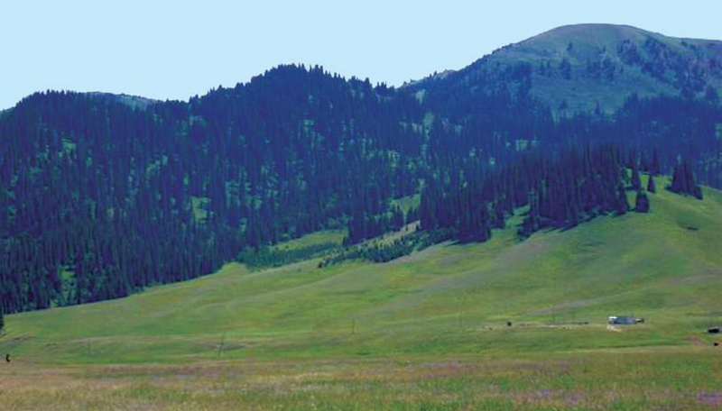 Файл:КАРКЫРА ӨРӨӨНҮ17.png