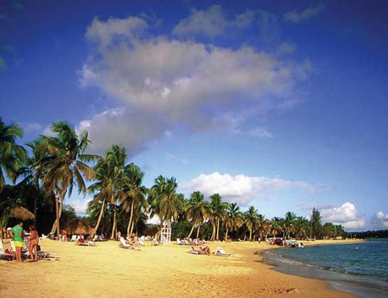 Файл:ДОМИНИКА РЕСПУБЛИКАСЫ38.png