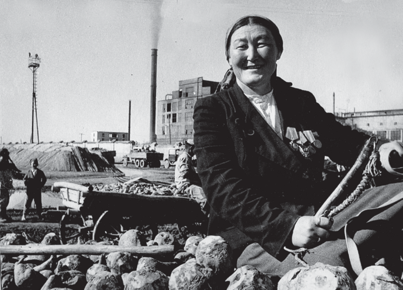 Файл:ДОКУМЕНТ КИНО24.png