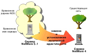 NDS КЫЗМАТЫ.jpg