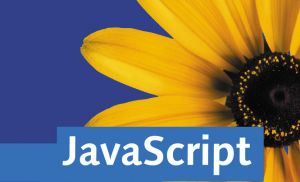 JAVA SCRIPT.jpg