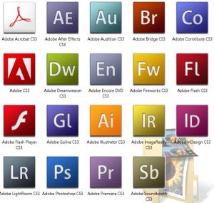 ADOBE SYSTEMS.jpg